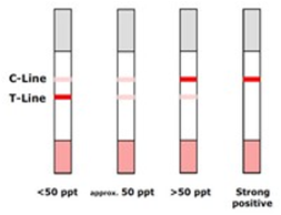 astori_aflatoxins_optical